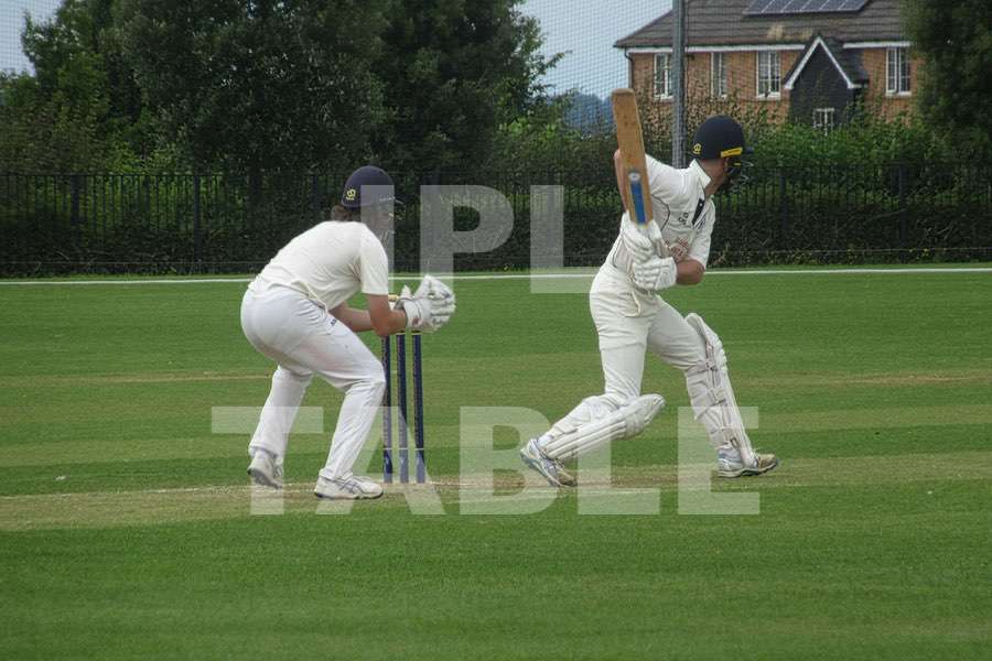 Cricket moment