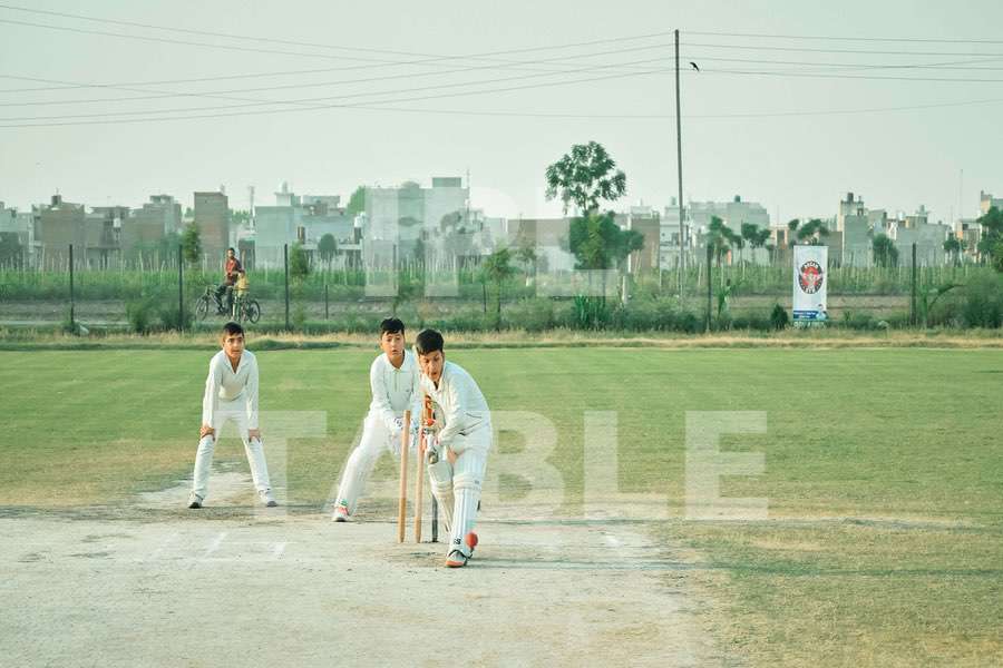 Cricket moment