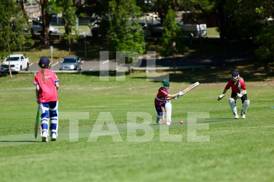 Cricket match