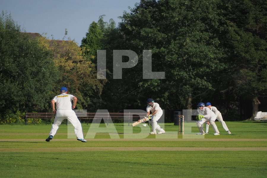 Cricket players