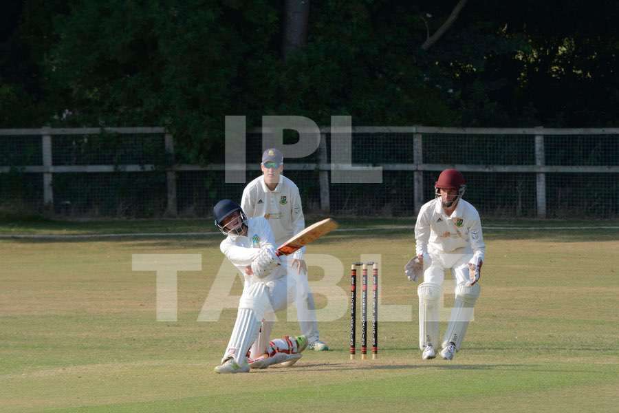 Cricket action