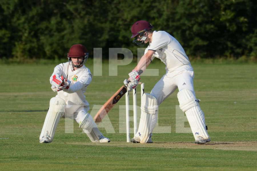 Cricket technology