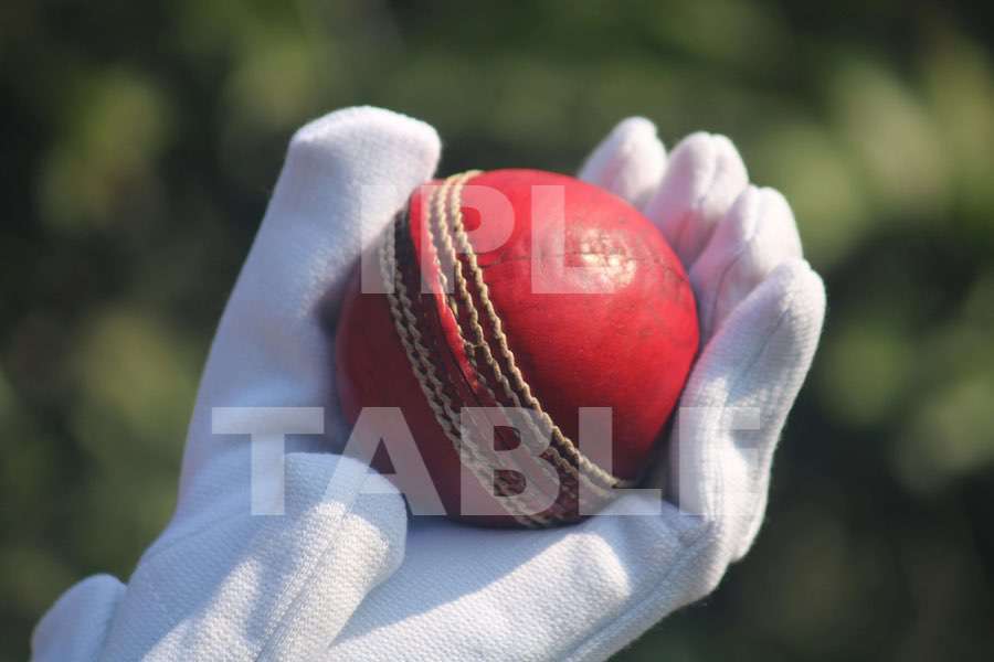 Cricket fans